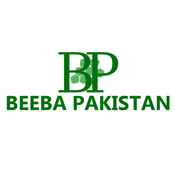 beebapakistan.com